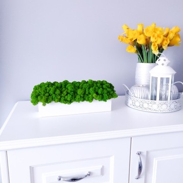 Цветочный горшок БЕЛЫЙ со СВЕТЛО-ЗЕЛЕНЫМ мхом, 30 см