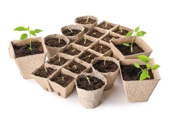 24 торфяных горшочка для рассады и маринования рассады