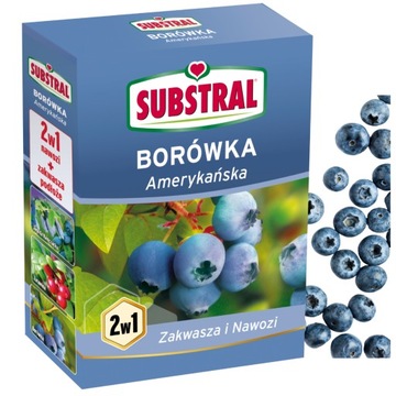 Nawóz 2W1 do borówki BORÓWKA amerykańskiej 1KG NATYCHMIASTOWE DZIAŁANIE