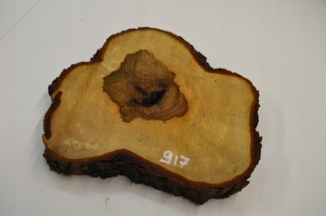 Duży Wybór Plastrów Kasztana z Czeczotą 41x39Gr4cm