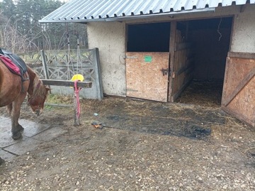 Противоскользящие коврики для стойл, конюшен, сараев, загонов, выходов на пастбища.