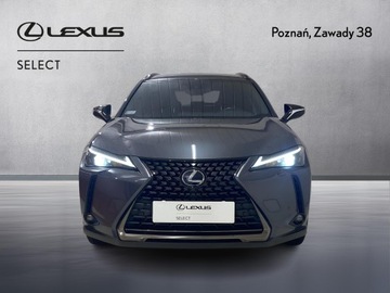 Lexus UX 2022 Lexus UX 250h GPF F Impression 2WD Lexus UX 250h G, zdjęcie 5