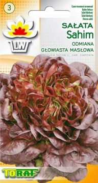 SAŁATA MASŁOWA 'SAHIM' - smaczne, czerwone liście