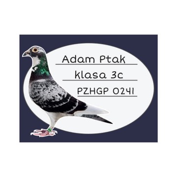 naklejki na zeszyty do szkoły gołąb