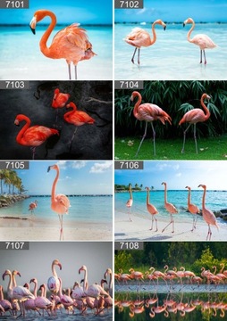 КАРТИНА НА ХОЛСТЕ ЛОШАДИ МУСТАНГ 100х70 на выбор