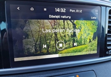 Kia Sportage IV SUV Facelifting 1.6 T-GDI 177KM 2020 Kia Sportage 1.6 Benzyna 177KM, zdjęcie 34