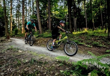 КЕЛЛИС ЛЮМИ 50 ЗЕЛЕНЫЙ