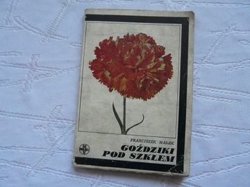 Goździki pod szkłem F. Małek