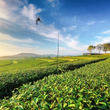 Репеллент для птиц сокол ворон ястреб KITE