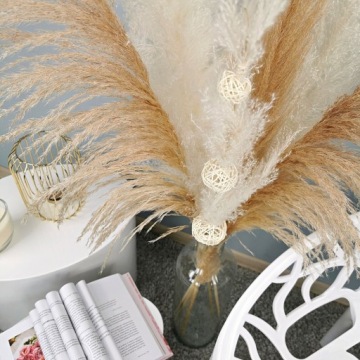 БУКЕТ СУШЕННАЯ ПАМПАССНАЯ ТРАВА БОЛЬШОЙ БЕЛЫЙ XXL 6 шт.