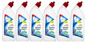 Żel do WC Yplon Palemka Czyszczenie ZESTAW 6x1L (6L)
