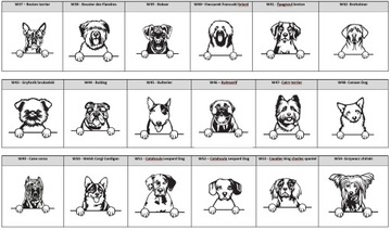 ИДЕНТИФИКАЦИОННАЯ СУМКА ДЛЯ СОБАК - ВСЕ ПОРОДЫ XL