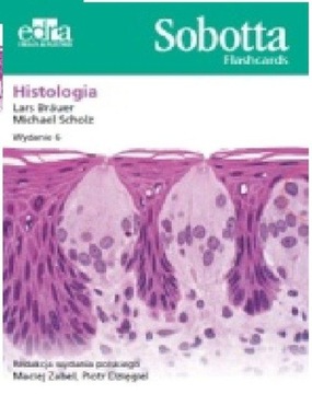 SOBOTTA FLASHCARDS. HISTOLOGIA