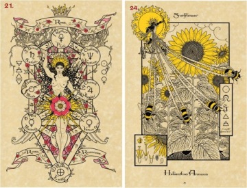 Магический ботанический оракул