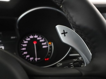 Alfa Romeo Stelvio SUV 2.0 Turbo 280KM 2017 Alfa Romeo Stelvio 4x4, 280KM, skóra, navi, klima, zdjęcie 31