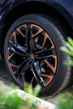 Cupra Terramar 2025 Cupra Terramar Advantage Edition DCC 2.0 TSI 204, zdjęcie 6