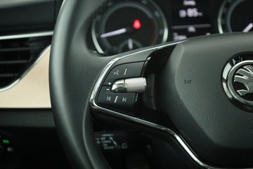 Skoda Kamiq Crossover 1.0 TSI 110KM 2023 Skoda Kamiq 1.0 TSI, Salon Polska, 1. Właściciel, zdjęcie 18