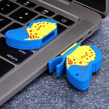 Przenona pami USB, pami USB, dysk U, uroczy