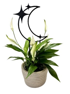 Podpórki do kwiatów roślin podpórka podpora pergola KSIĘŻYC M - 26cm