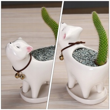 Керамический цветочный горшок для кошек кактус