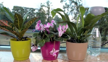 Greenmill Автоматическая лейка для растений Комплект для орошения GB3014