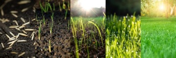 Удобрение для посева травы и устройства газона - г. Зеленая трава 10 кг