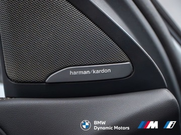 BMW X6 G06 SUV Facelifting 3.0 30d 298KM 2025 BMW X6 xDrive30d 298 KM mHEV - HarmanKardon - Kamera 360 - Pakiet Serwisowy, zdjęcie 24