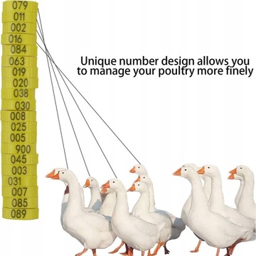 Маркеры-кольца для кур, гусей, птиц, 30 шт м4.