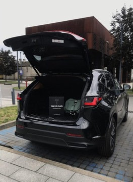 СУМКА ДЛЯ ТРАНСПОРТИРОВКИ КОЛЯСКИ XL WeAreOneCo Cybex Coya Orfeo Beezy Melio Mios