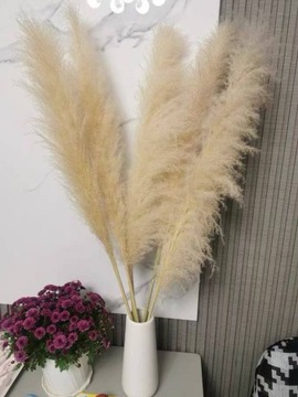 Натуральная трава пампаса сушено 5 шт 117 см. Премиум плейм 75 см