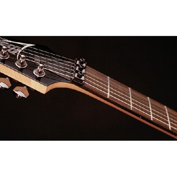 Электрогитара Ibanez RG421MSP-TSP