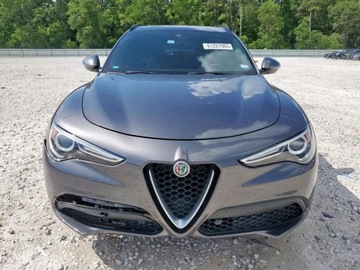 Alfa Romeo Stelvio SUV 2.0 Turbo 280KM 2019 Alfa Romeo Stelvio TI 2019 2.0l 2.0 Benzyna 280KM, zdjęcie 5