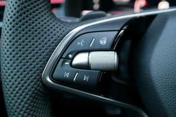 Skoda Kamiq Crossover Facelifting 1.0 TSI 115KM 2025 Škoda Kamiq Skoda Kamiq Monte Carlo 1.0 TSI 115, zdjęcie 15