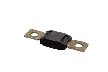 POJISTKA RENAULT 120A 8200177919