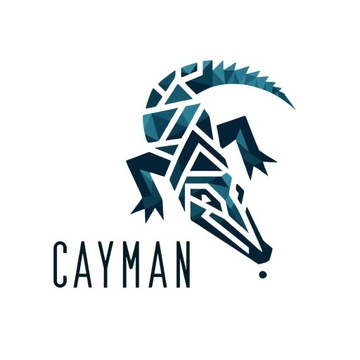 Трапы Cayman PRO, сходни из грязи, песка и стали, пандусы для колес, 80 см