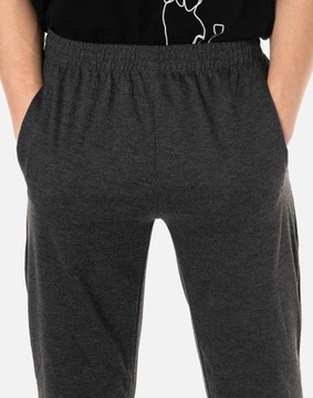 Komplet Dresowy Męski Dres Bluza Spodnie 9111-3 XL