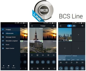 BCS-L-FIP25FSR1-Ai2 / 5-мегапиксельная IP-камера типа «рыбий глаз»