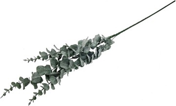 GAŁĄZKA EUKALIPTUS 90cm LIŚCIE roślina BUKIET LIŚĆ
