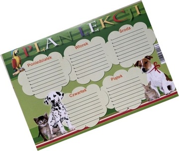 Plan lekcji karteczka samoprzylepna A6 FARRO