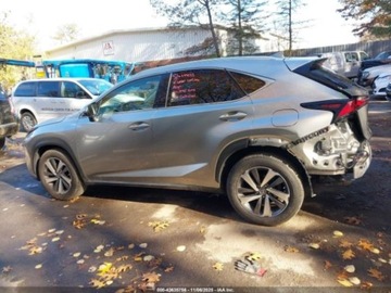 Lexus NX I 2020 Lexus NX 300 LUXURY, 4x4, od ubezpieczalni 2.0 Benzyna 235KM, zdjęcie 3