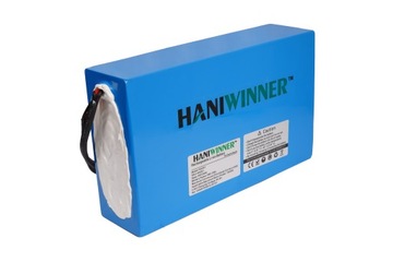 Литиевая батарея HANIWINNER HA201, 48 В, 20 Ач, 960 Втч, с зарядным устройством