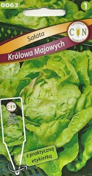 Sałata Królowa Majowych smaczna delikatna masłowa