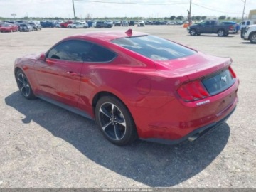 Ford Mustang VI 2021 Ford Mustang Ecoboost Fastback 2021 2.3l 2.3 Benzyna 310KM, zdjęcie 3