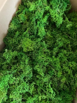 Подстилка из мха, отходы мха, 100г.