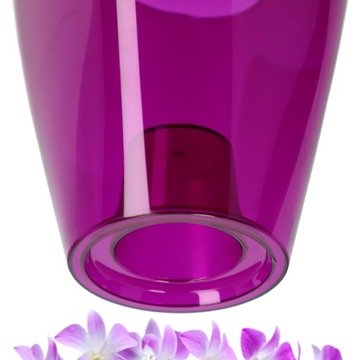 Strep Laint для Storczy