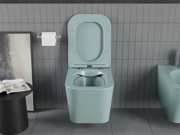 MEXEN TEO СИДЕНЬЕ ДЛЯ УНИТАЗА БЕЗОБОДКИ, СВЕТЛО-ЗЕЛЕНЫЙ МАТОВЫЙ