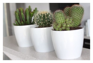 Doniczka Magnolia fi 180mm h 159mm biała Lamela