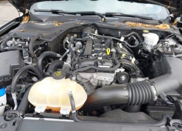 Ford Mustang VI 2021 Ford Mustang FORD MUSTANG ECOBOOST FASTBACK 2.3 Benzyna 314KM, zdjęcie 11