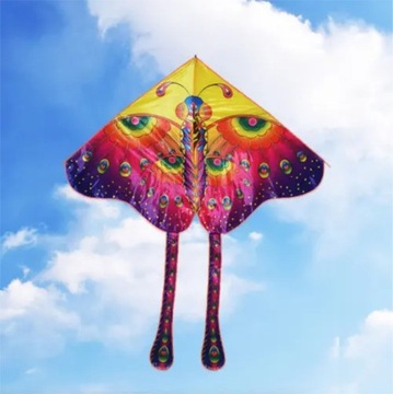 Воздушный змей для детей Большие игрушки-бабочки для девочек Монтессори 5 лет