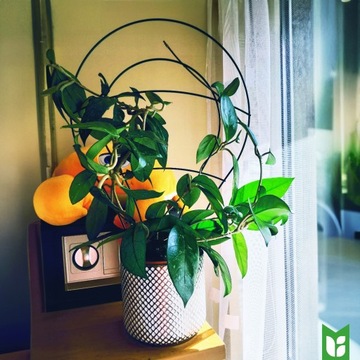 Стальная подставка для горшков - зеленая 33х45см.